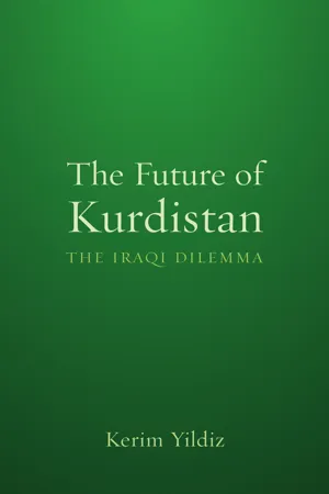 The Future of Kurdistan