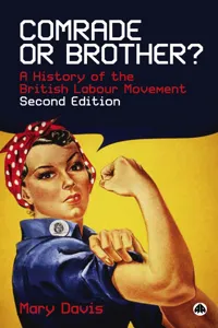 Comrade or Brother?_cover