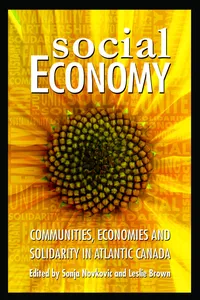 Social Economy_cover