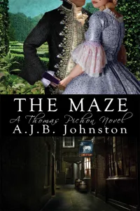 The Maze_cover