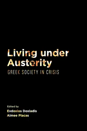 Living Under Austerity