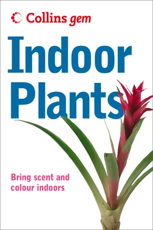 Indoor Plants