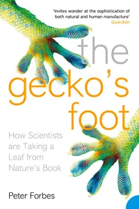 The Gecko's Foot_cover