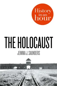 The Holocaust: History in an Hour_cover