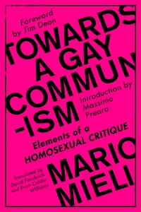 Towards a Gay Communism_cover