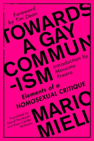 Towards a Gay Communism