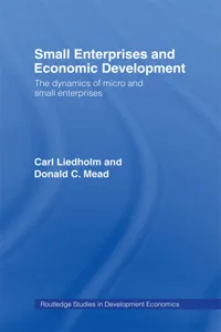 Small Enterprises and Economic Development_cover