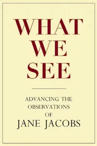 What We See_cover