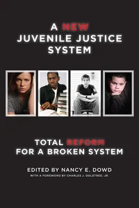 A New Juvenile Justice System_cover