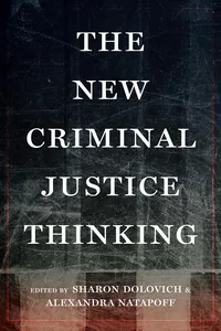 The New Criminal Justice Thinking_cover