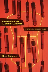 Fantasies of Identification_cover