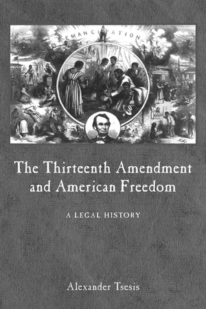 The Thirteenth Amendment and American Freedom