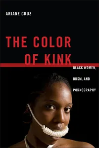 The Color of Kink_cover