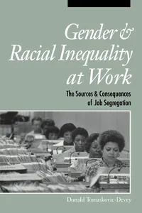 Gender and Racial Inequality at Work_cover