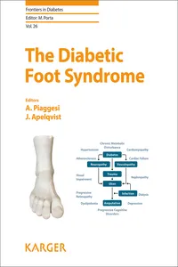 The Diabetic Foot Syndrome_cover