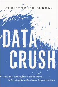 Data Crush_cover