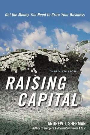 Book cover image for: Raising Capital