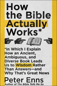 How the Bible Actually Works_cover