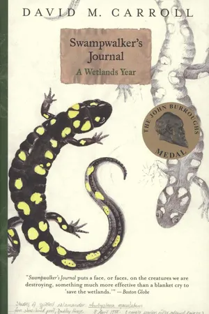 Swampwalker's Journal