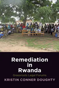 Remediation in Rwanda_cover