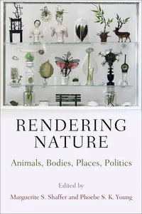 Rendering Nature_cover