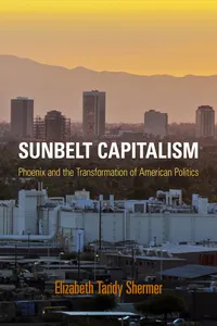 Sunbelt Capitalism_cover