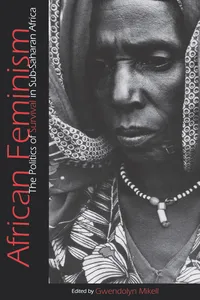 African Feminism_cover