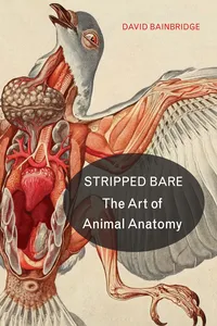 Stripped Bare_cover