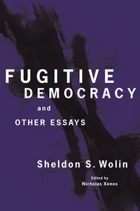 Fugitive Democracy_cover