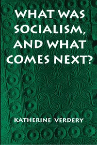 What Was Socialism, and What Comes Next?_cover