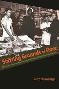 The Shifting Grounds of Race_cover