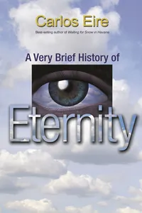 A Very Brief History of Eternity_cover