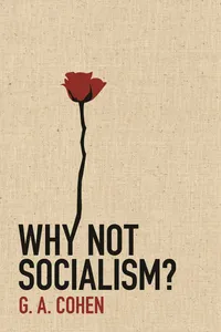 Why Not Socialism?_cover