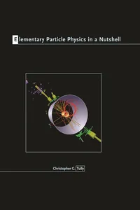 Elementary Particle Physics in a Nutshell_cover