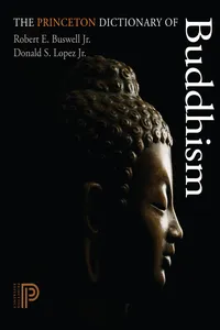 The Princeton Dictionary of Buddhism_cover