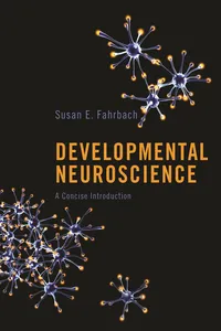 Developmental Neuroscience_cover