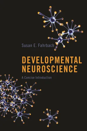 Developmental Neuroscience