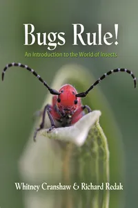 Bugs Rule!_cover