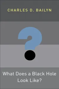 What Does a Black Hole Look Like?_cover