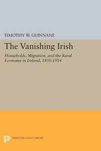 The Vanishing Irish_cover