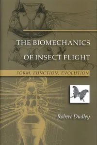 The Biomechanics of Insect Flight_cover