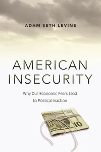 American Insecurity_cover