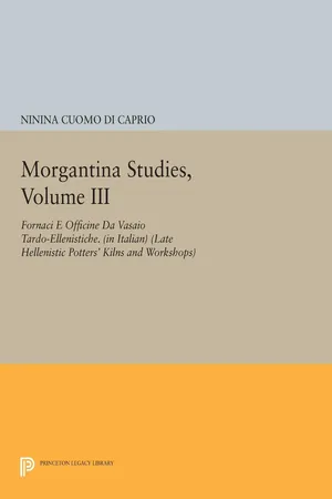 Morgantina Studies, Volume III