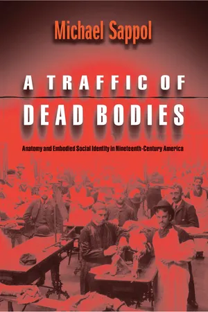 A Traffic of Dead Bodies