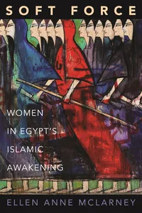 Princeton Studies in Muslim Politics_cover