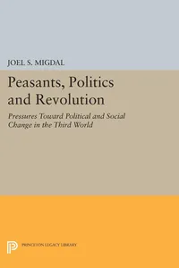 Peasants, Politics and Revolution_cover
