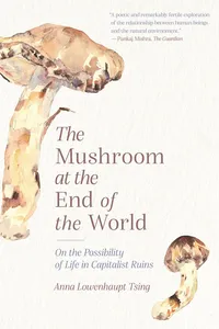The Mushroom at the End of the World_cover