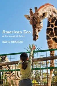 American Zoo_cover