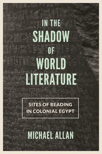 In the Shadow of World Literature_cover
