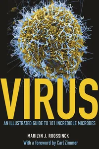 Virus_cover